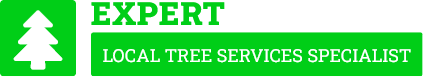 Hastings Tree Removal - Tree Removal Hastings